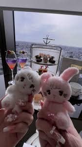 ぬいぐるみ振り向き界隈とは？意味や元ネタ・特徴についても紹介！