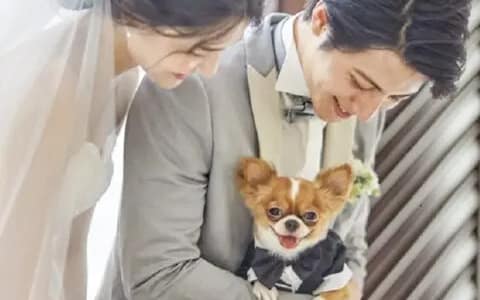 犬好き必見！30代から始める婚活で理想のパートナーを見つける方法とは？