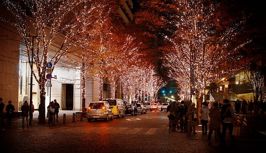 御堂筋イルミネーション2024はいつから？御堂筋イルミネーションの魅力と混雑状況まとめ