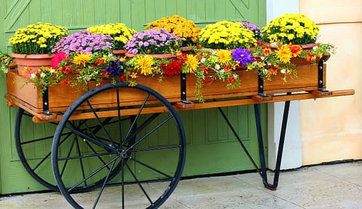 陽が当たる場所に最適な植物は？屋外やベランダでの栽培が簡単な種類と管理ポイント