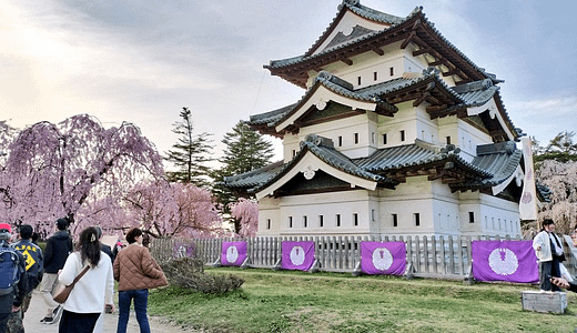 弘前さくらまつり2025地元っこ推奨！訪れるべき穴場スポットはこれだ！