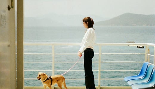 夏のボーナスの使い道！節約と楽しみを両立させるコツ