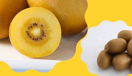ゴールドキウイの劣化サインと予防法!見た目・匂い・味のチェックポイント