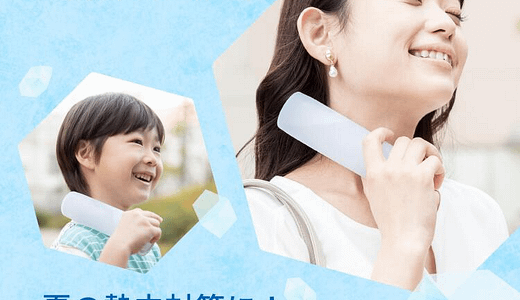 魔法瓶で持ち歩く氷のう『アイスパック』あなたはどこで買う？今年の夏はコレで乗り切る！