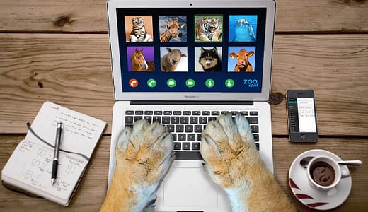 ゲームで出会った面白い名前が教えてくれる！笑えるネーミングから天才的センスとは？